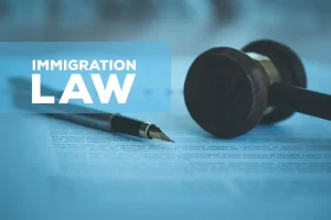 immigration law for undocumented workers
